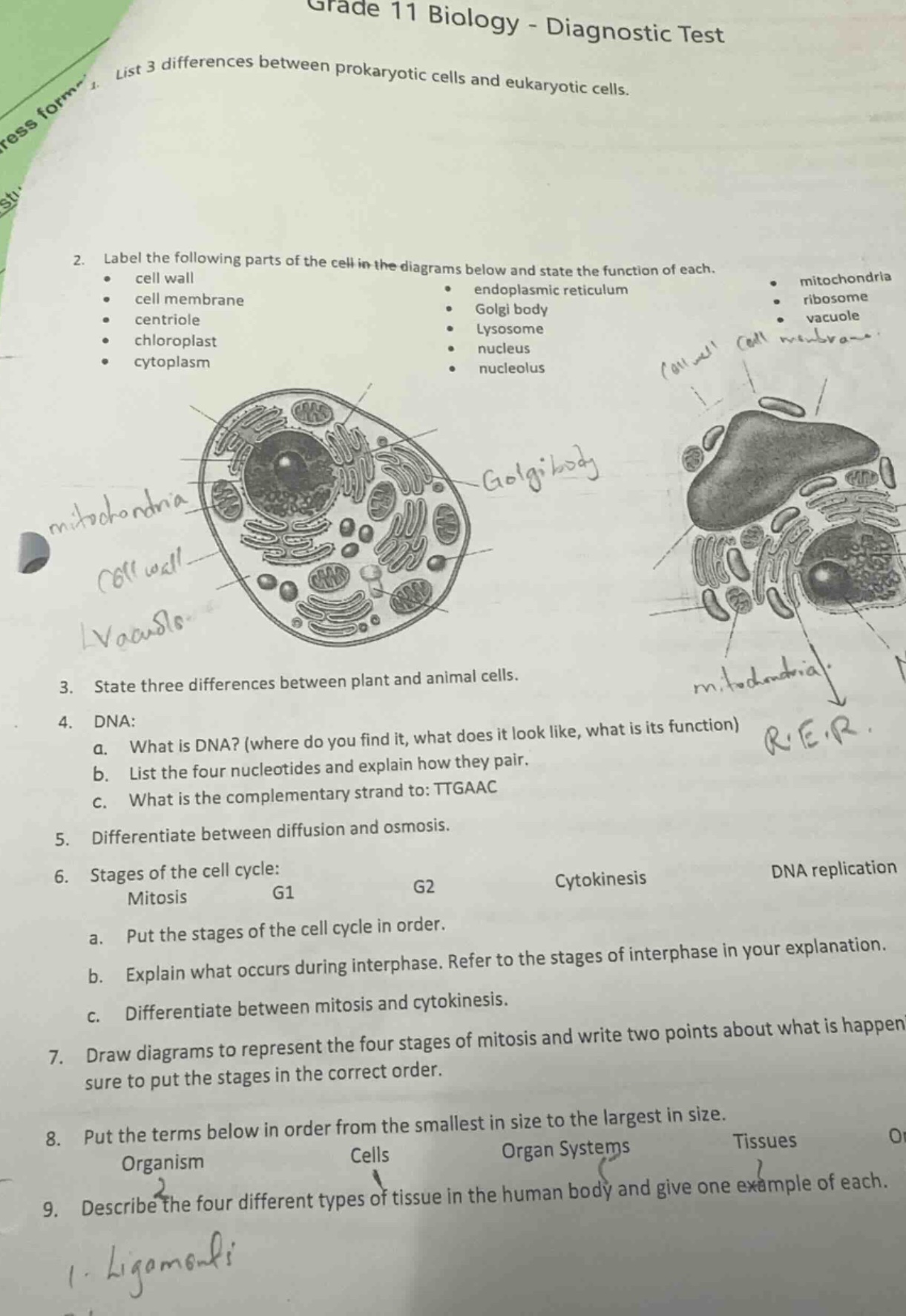 grade 11 biology - diagnostic test 1. list 3 differences between prokar…