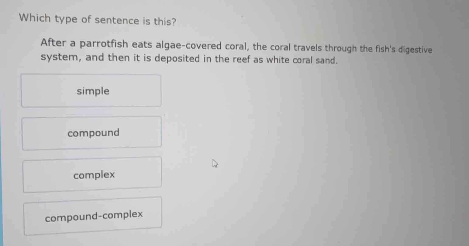 which type of sentence is this? after a parrotfish eats algae - covered…