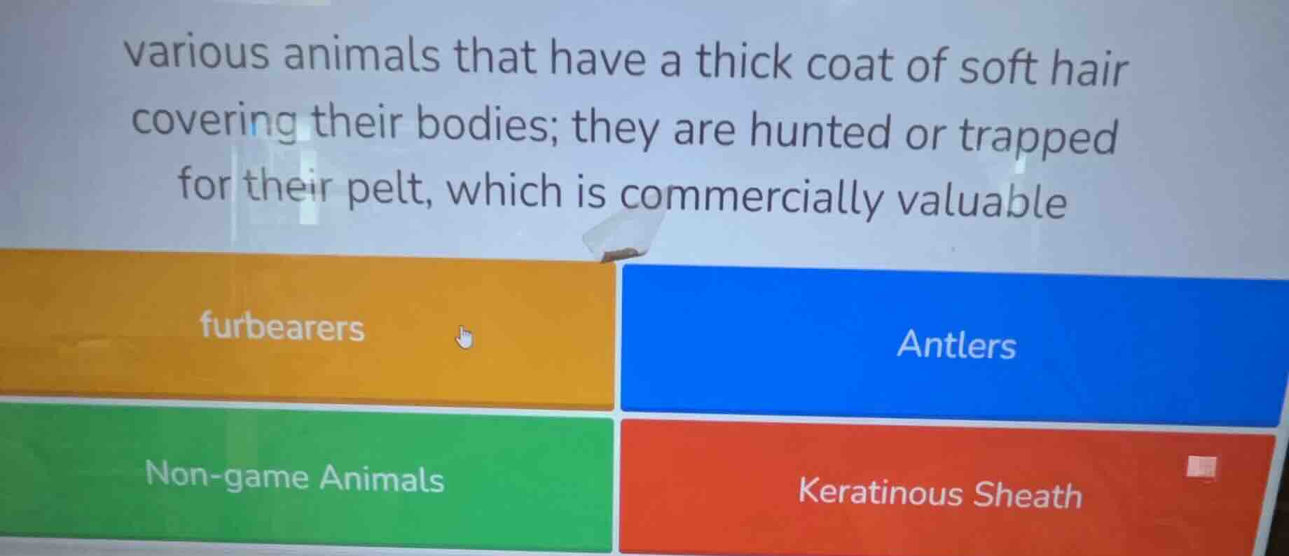 various animals that have a thick coat of soft hair covering their bodi…