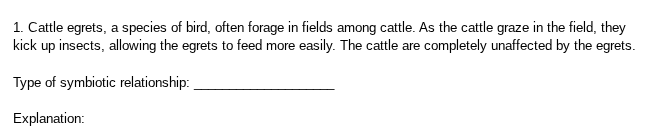 1. cattle egrets, a species of bird, often forage in fields among cattl…