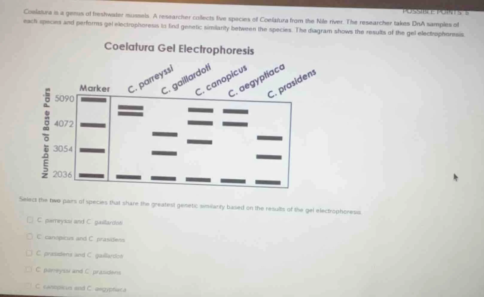 coelatura is a genus of freshwater mussels. a researcher collects five …