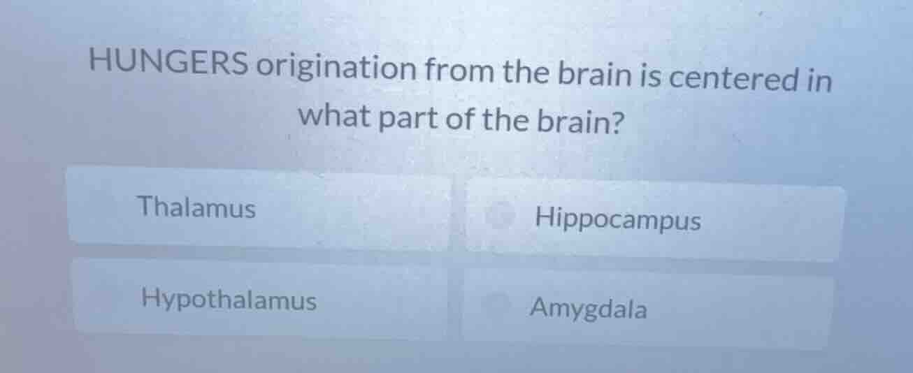 hungers origination from the brain is centered in what part of the brai…