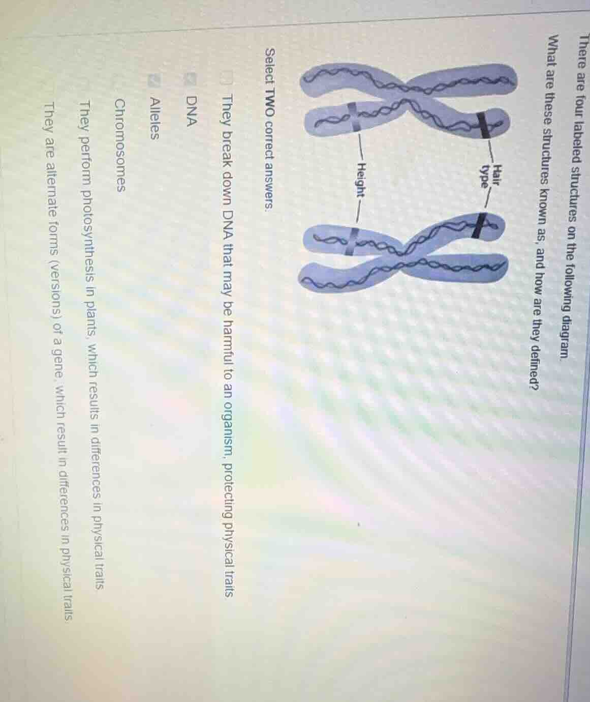 there are four labeled structures on the following diagram. what are th…