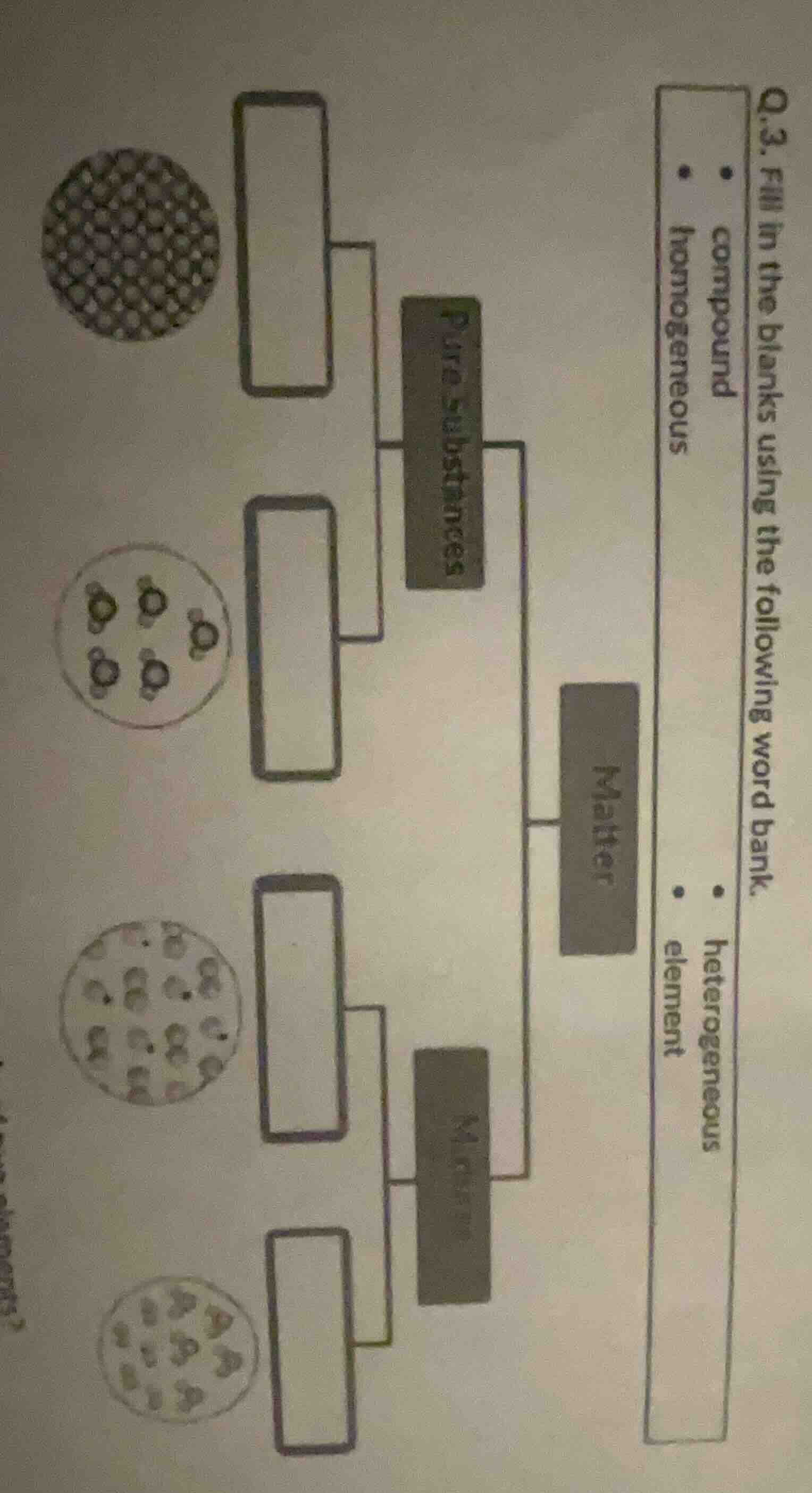 q.3. fill in the blanks using the following word bank. - compound - hom…