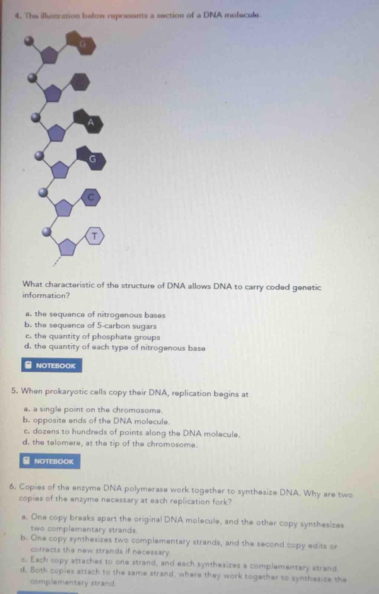 4. the illustration below represents a section of a dna molecule. what …