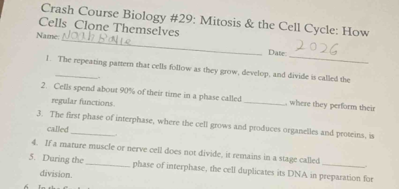 crash course biology #29: mitosis & the cell cycle: how cells clone the…