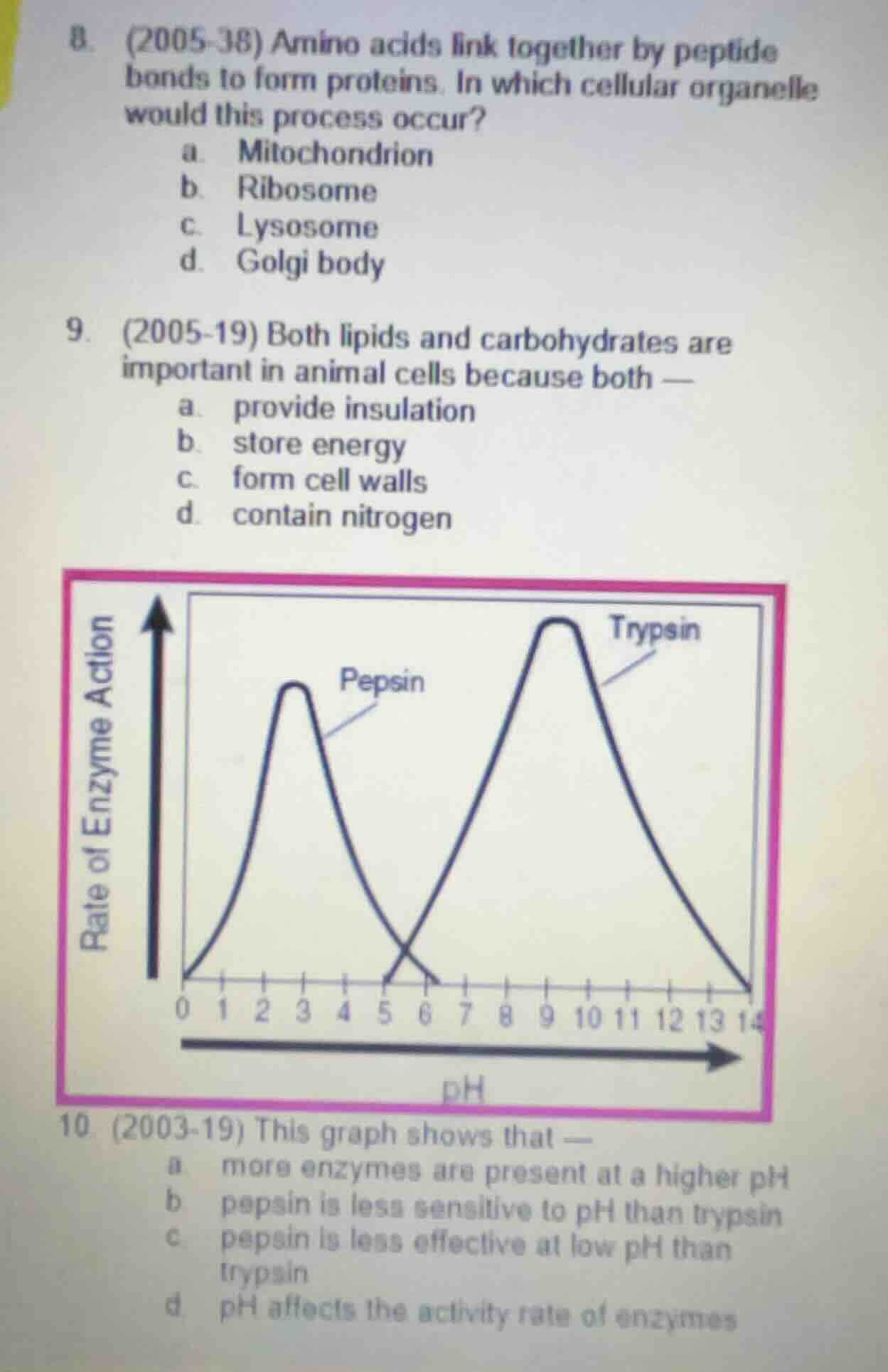 8. (2005 - 38) amino acids link together by peptide bonds to form prote…