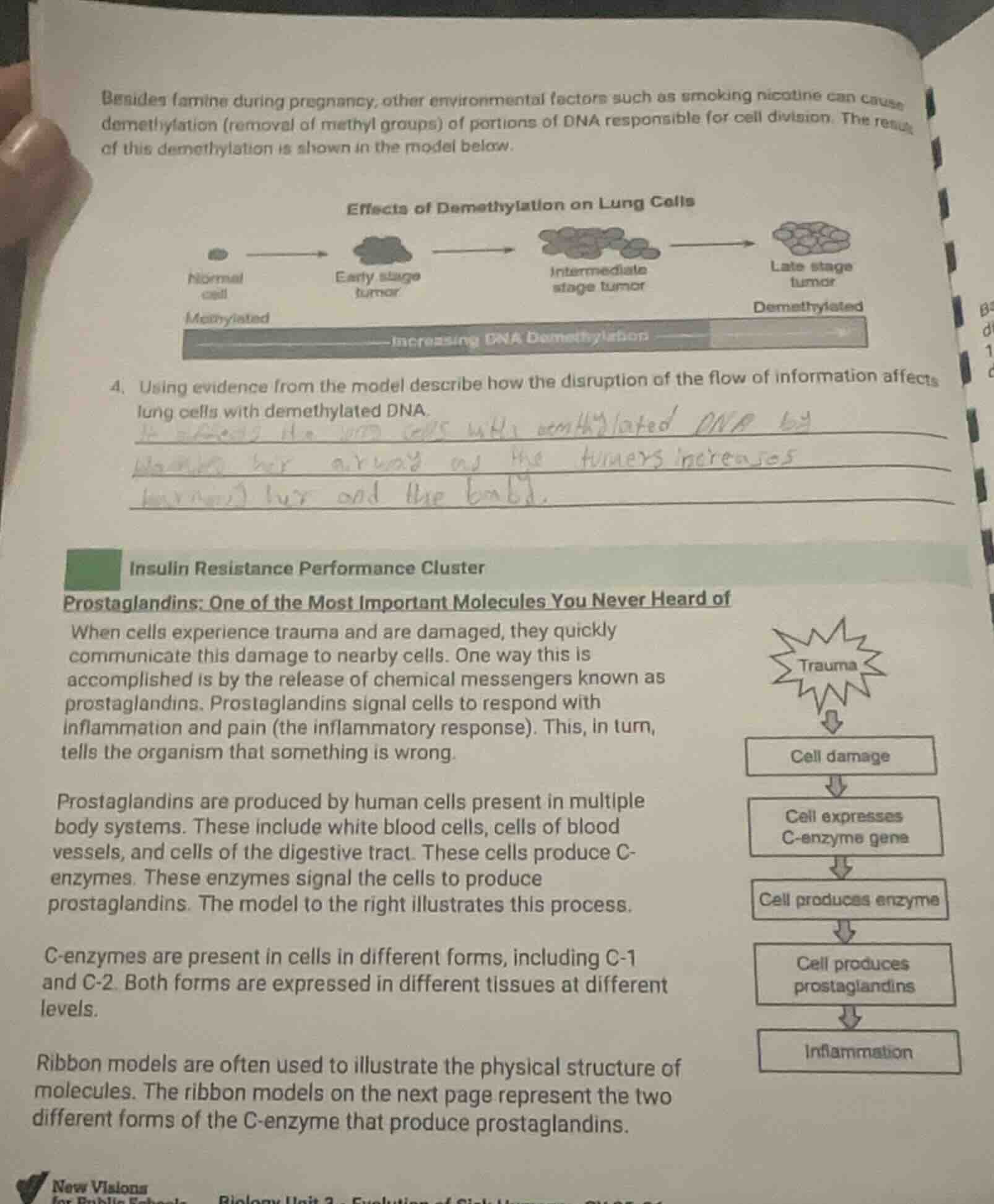 besides famine during pregnancy, other environmental factors such as sm…