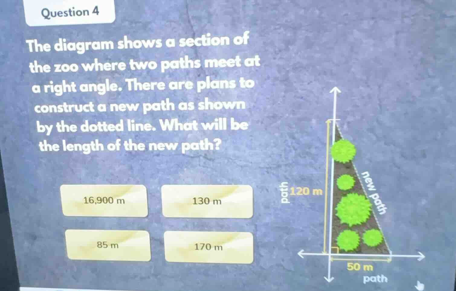 question 4 the diagram shows a section of the zoo where two paths meet …