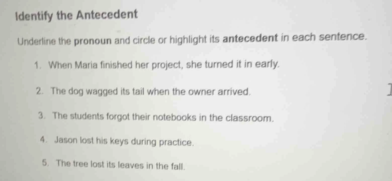 identify the antecedent underline the pronoun and circle or highlight i…