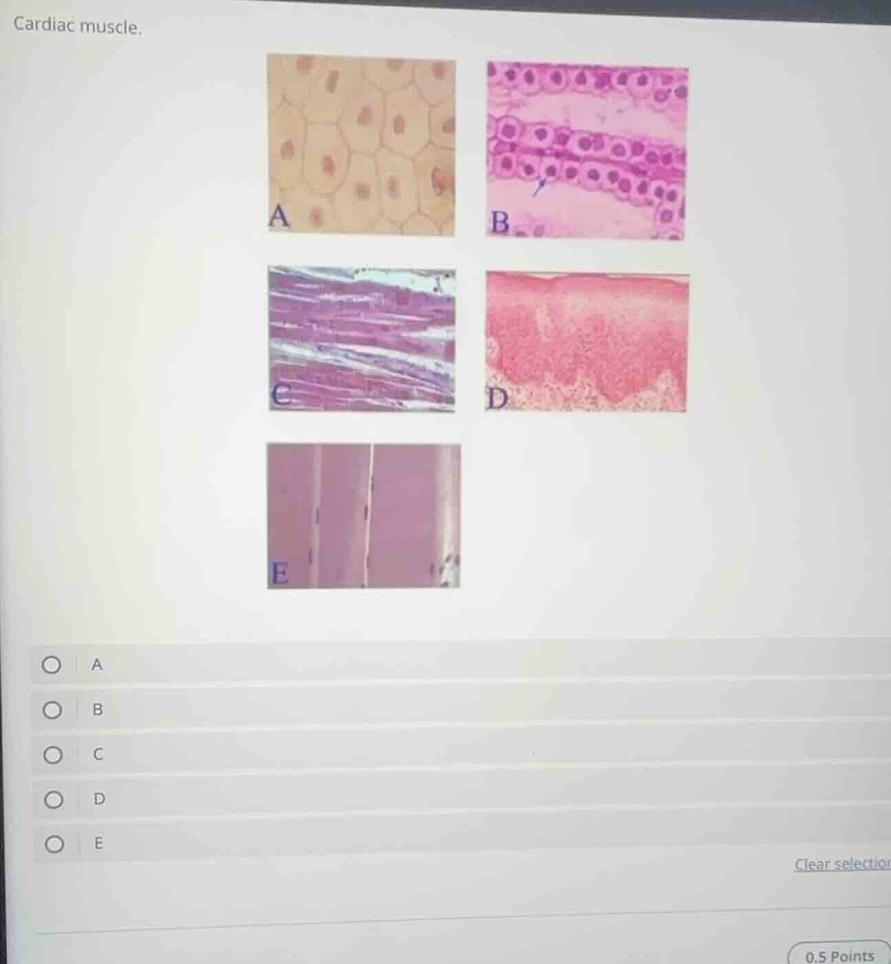 cardiac muscle. a b c d e a b c d e clear selectio 0.5 points