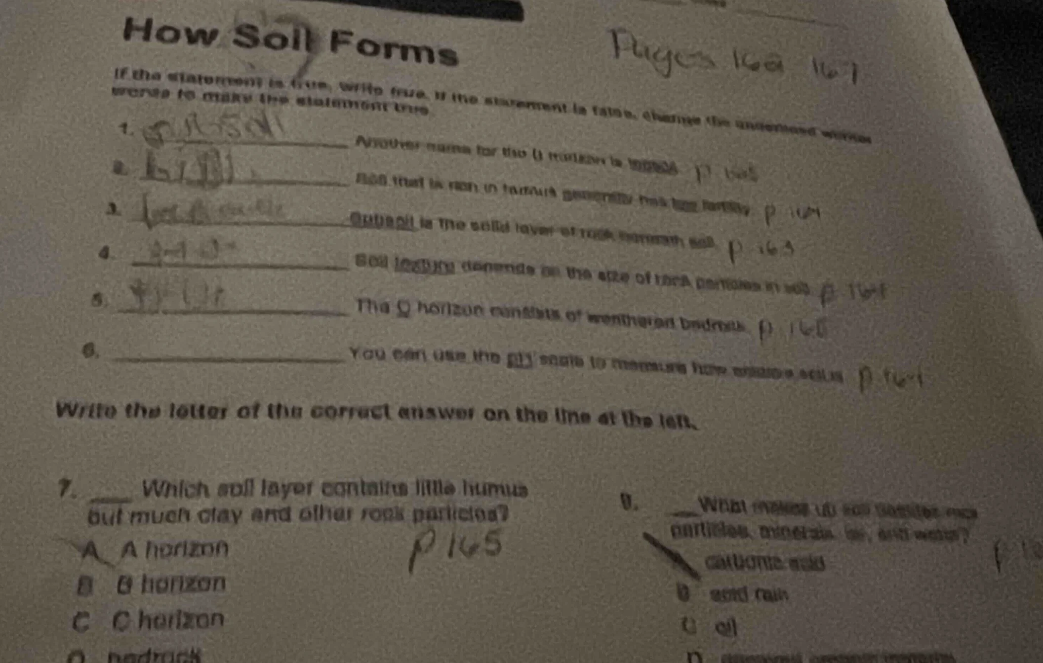 how soil forms if the statement is true, write true. if the statement i…