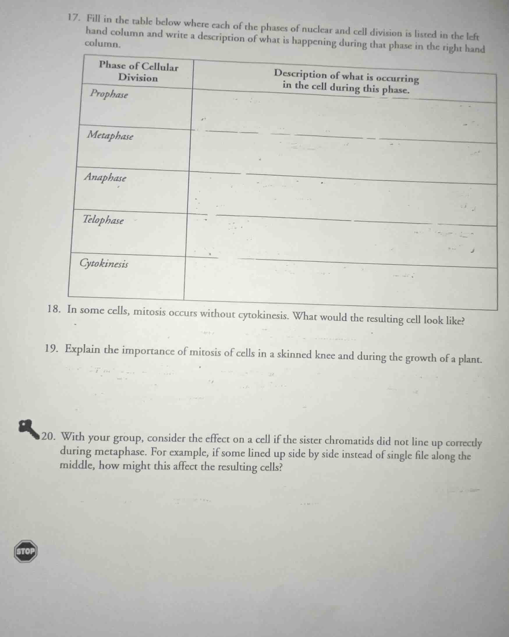 17. fill in the table below where each of the phases of nuclear and cel…