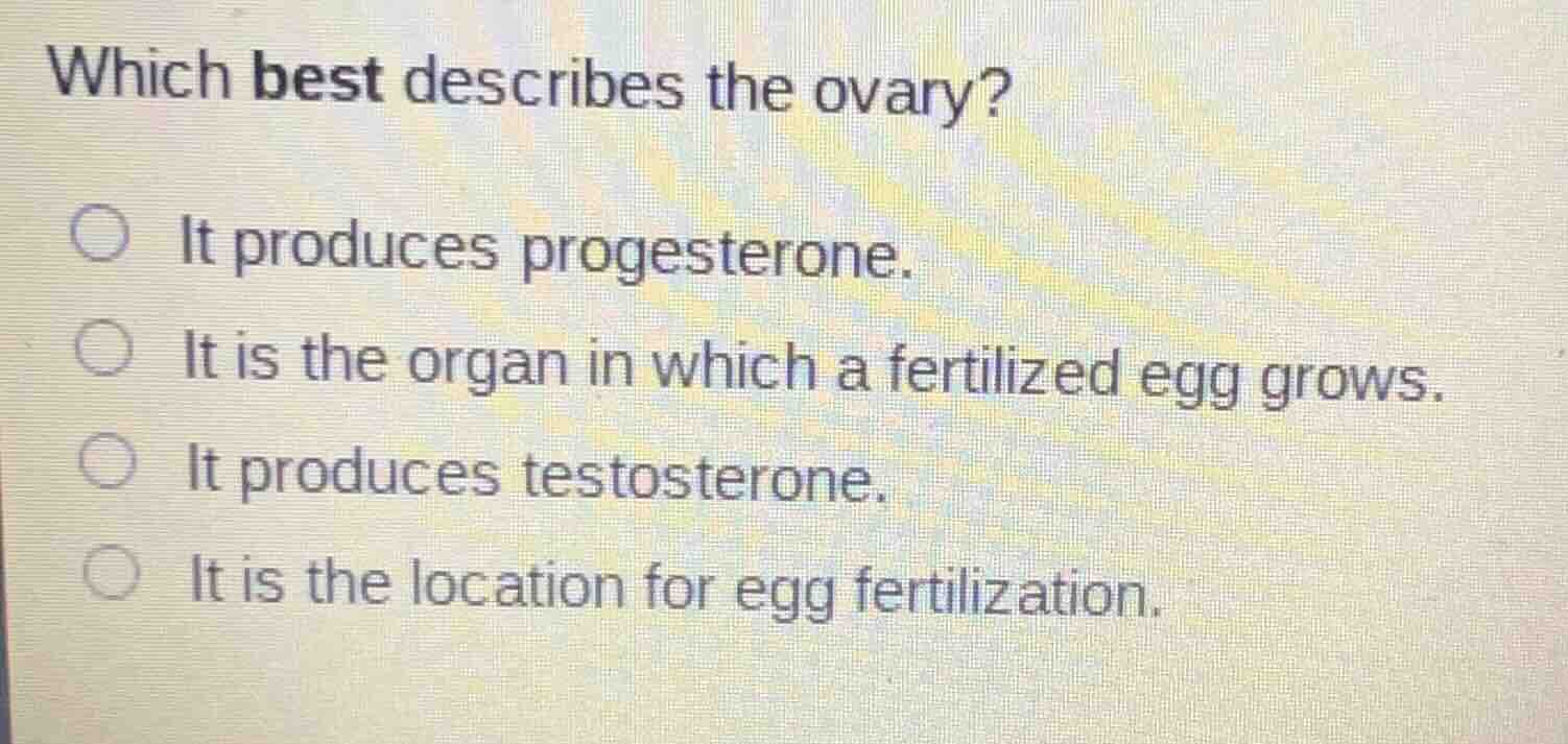 which best describes the ovary? it produces progesterone. it is the org…