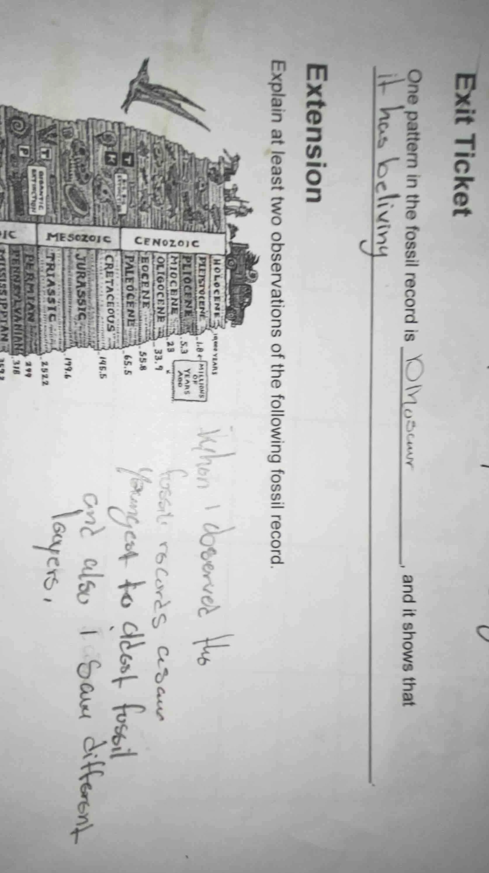 exit ticket one pattern in the fossil record is ______, and it shows th…