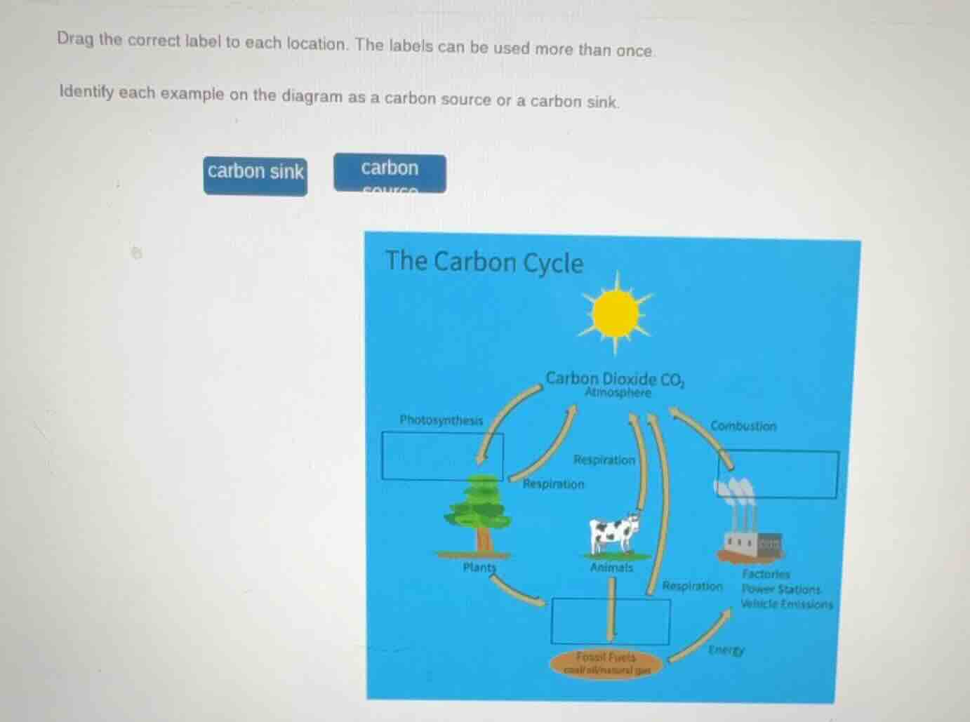 drag the correct label to each location. the labels can be used more th…