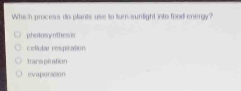 which process do plants use to turn sunlight into food energy? - photos…