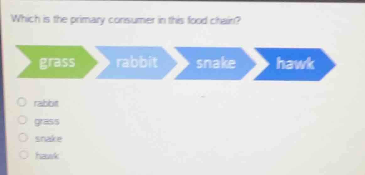 which is the primary consumer in this food chain? grass rabbit snake ha…