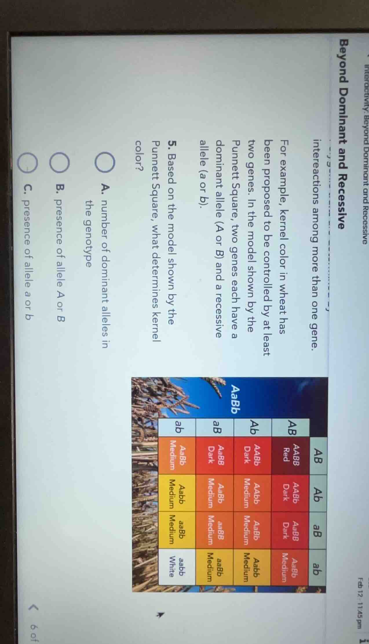 beyond dominant and recessive interactions among more than one gene. fo…