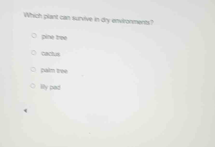 which plant can survive in dry environments? pine tree cactus palm tree…