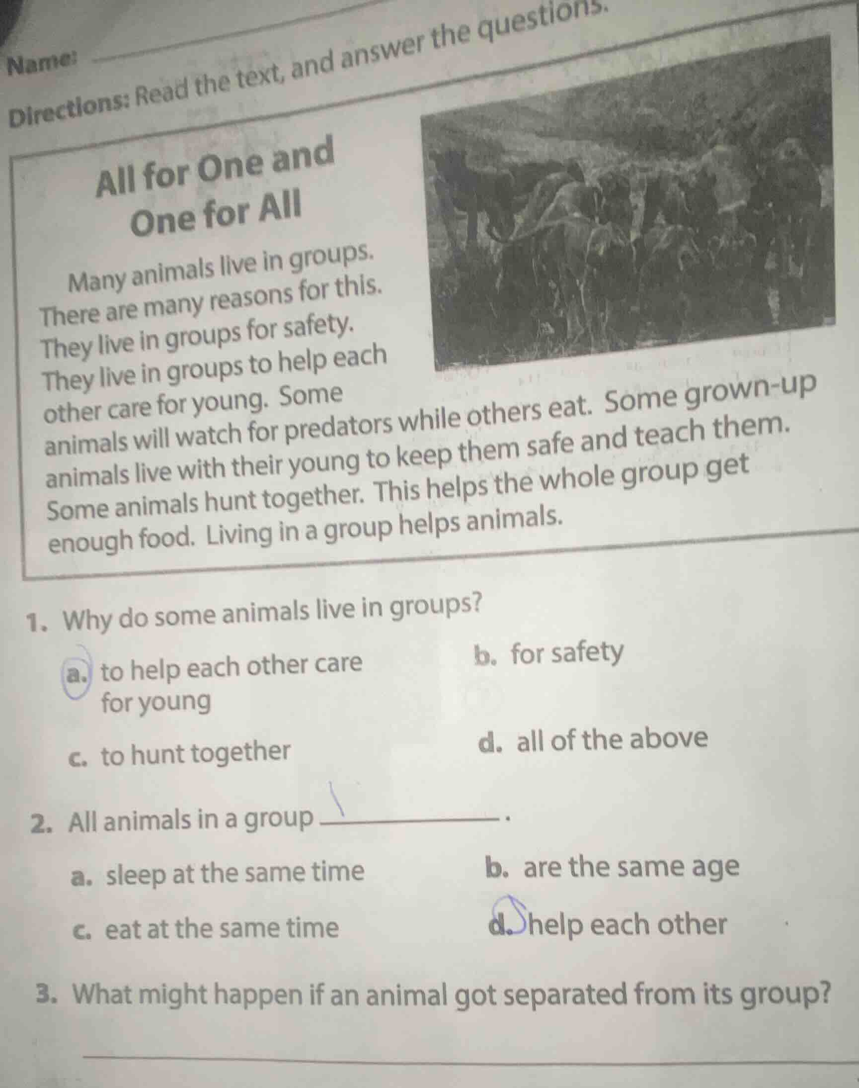 name directions: read the text, and answer the questions. all for one a…