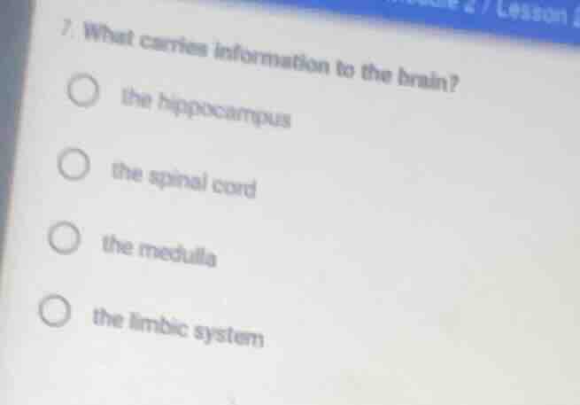7. what carries information to the brain? the hippocampus the spinal co…