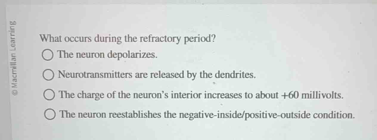 what occurs during the refractory period? the neuron depolarizes. neuro…