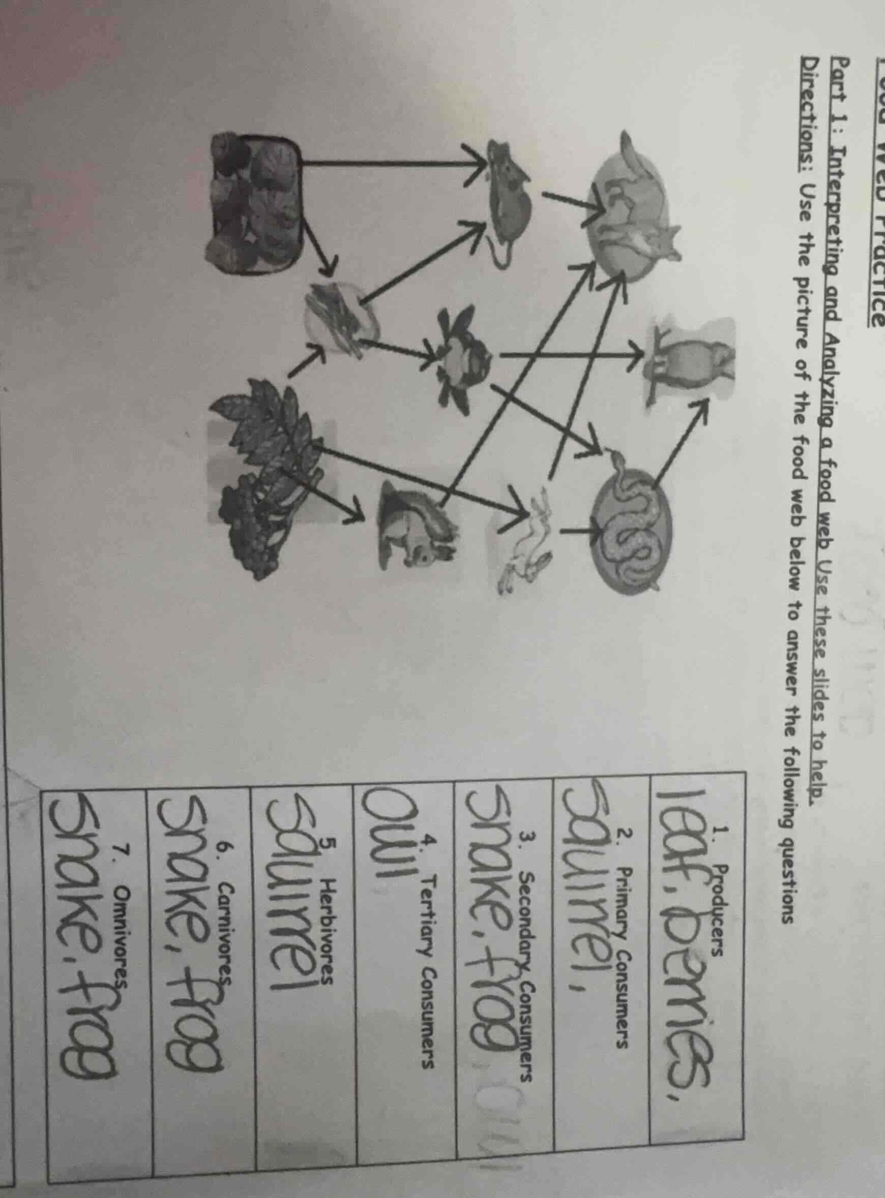 part 1: interpreting and analyzing a food web use these slides to help.…