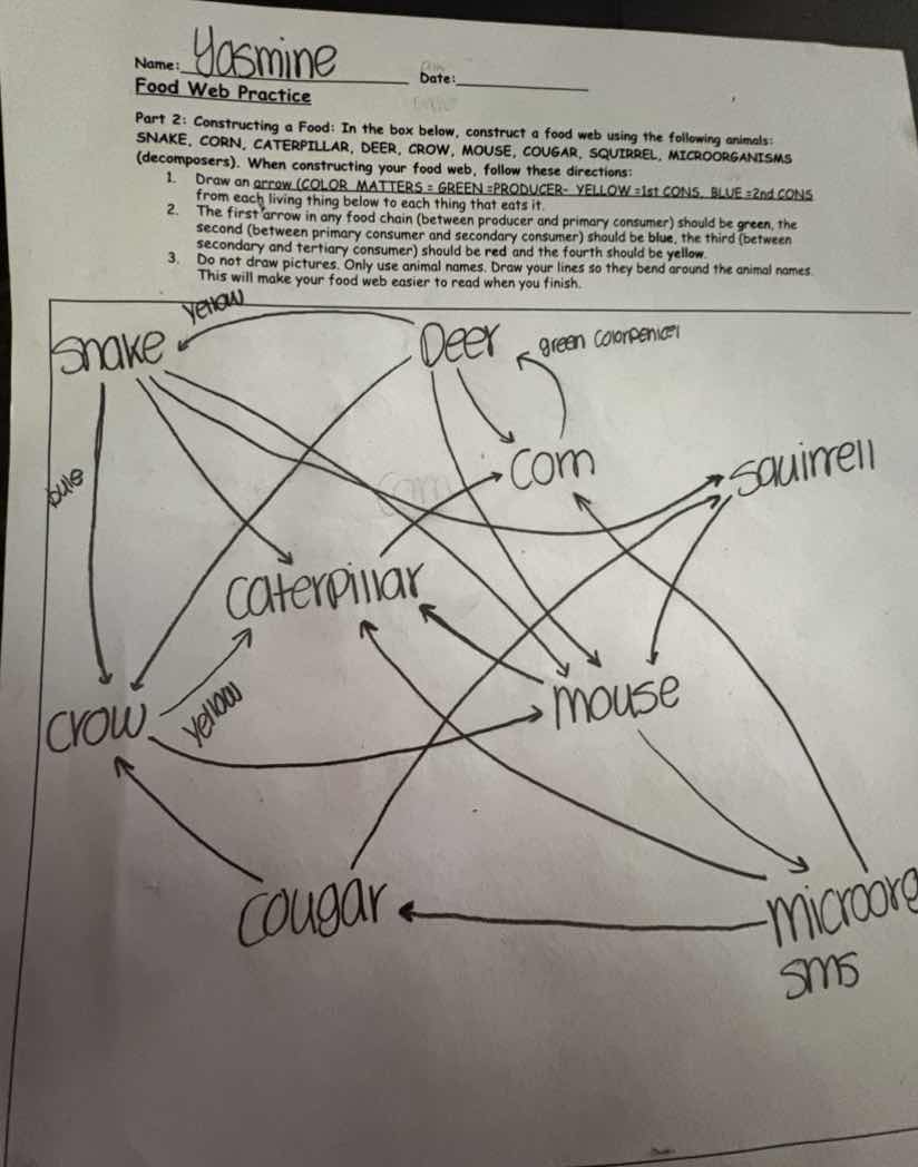name: yasmine date: food web practice part 2: constructing a food: in t…