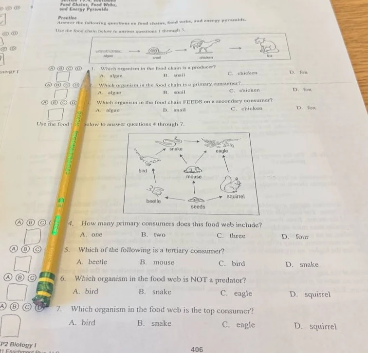 feed chains, food webs, and energy pyramids practise answer the followi…
