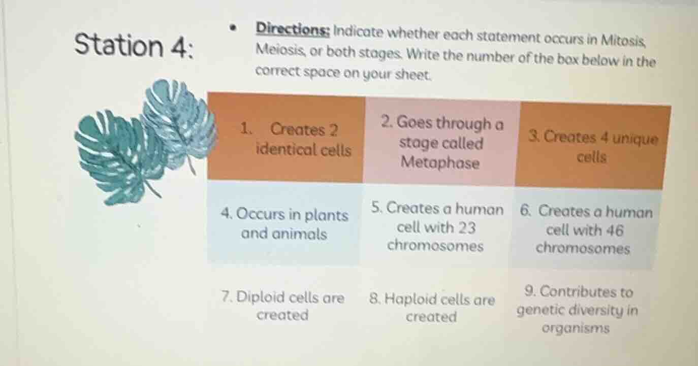 station 4: - directions: indicate whether each statement occurs in mito…