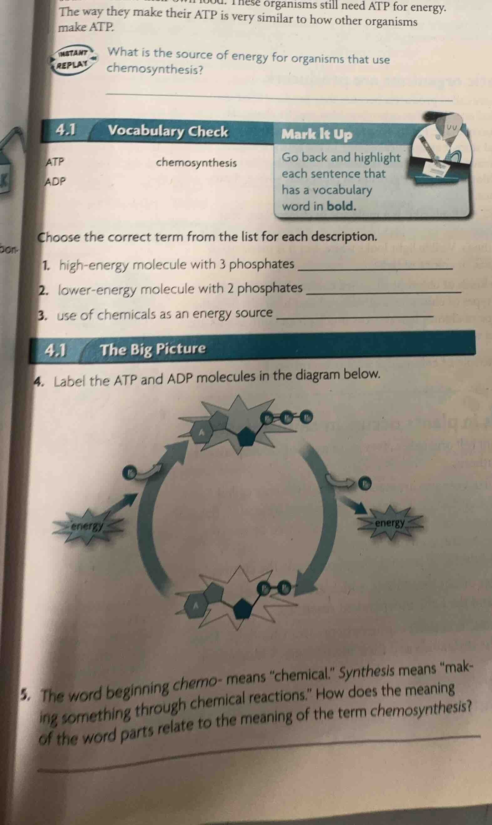 these organisms still need atp for energy. the way they make their atp …