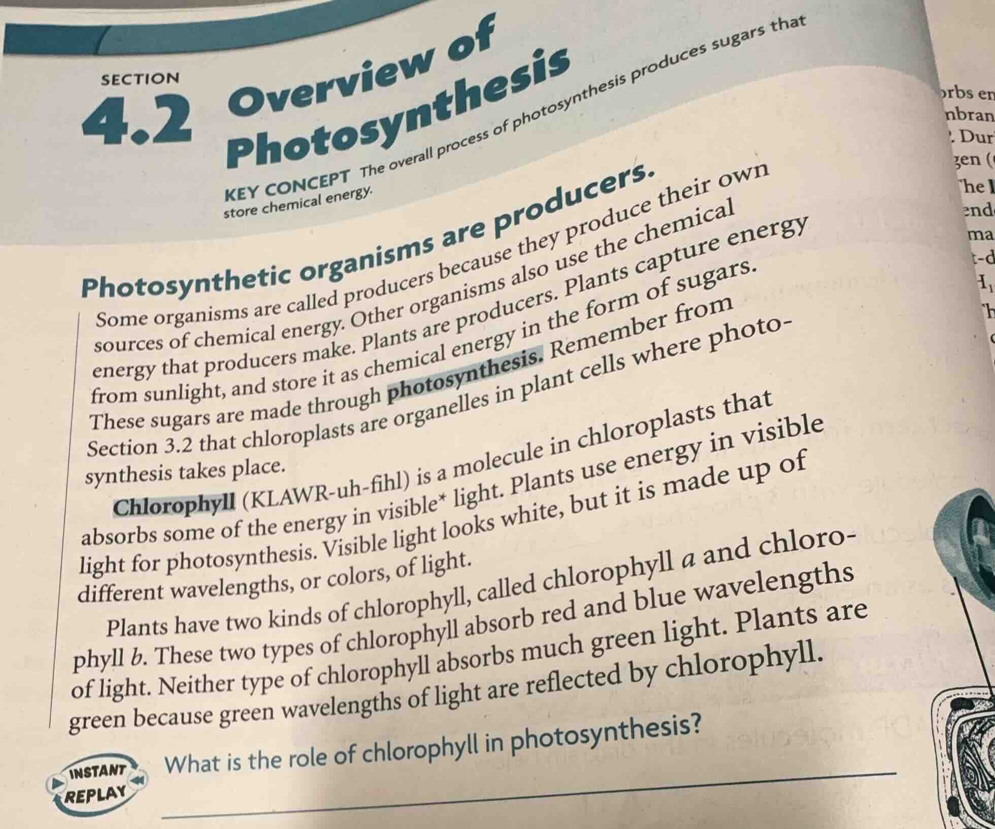 section 4.2 overview of photosynthesis key concept the overall process …