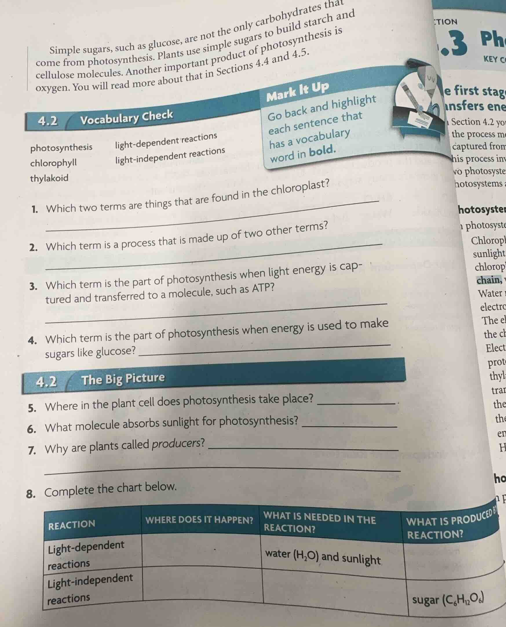 simple sugars, such as glucose, are not the only carbohydrates that com…