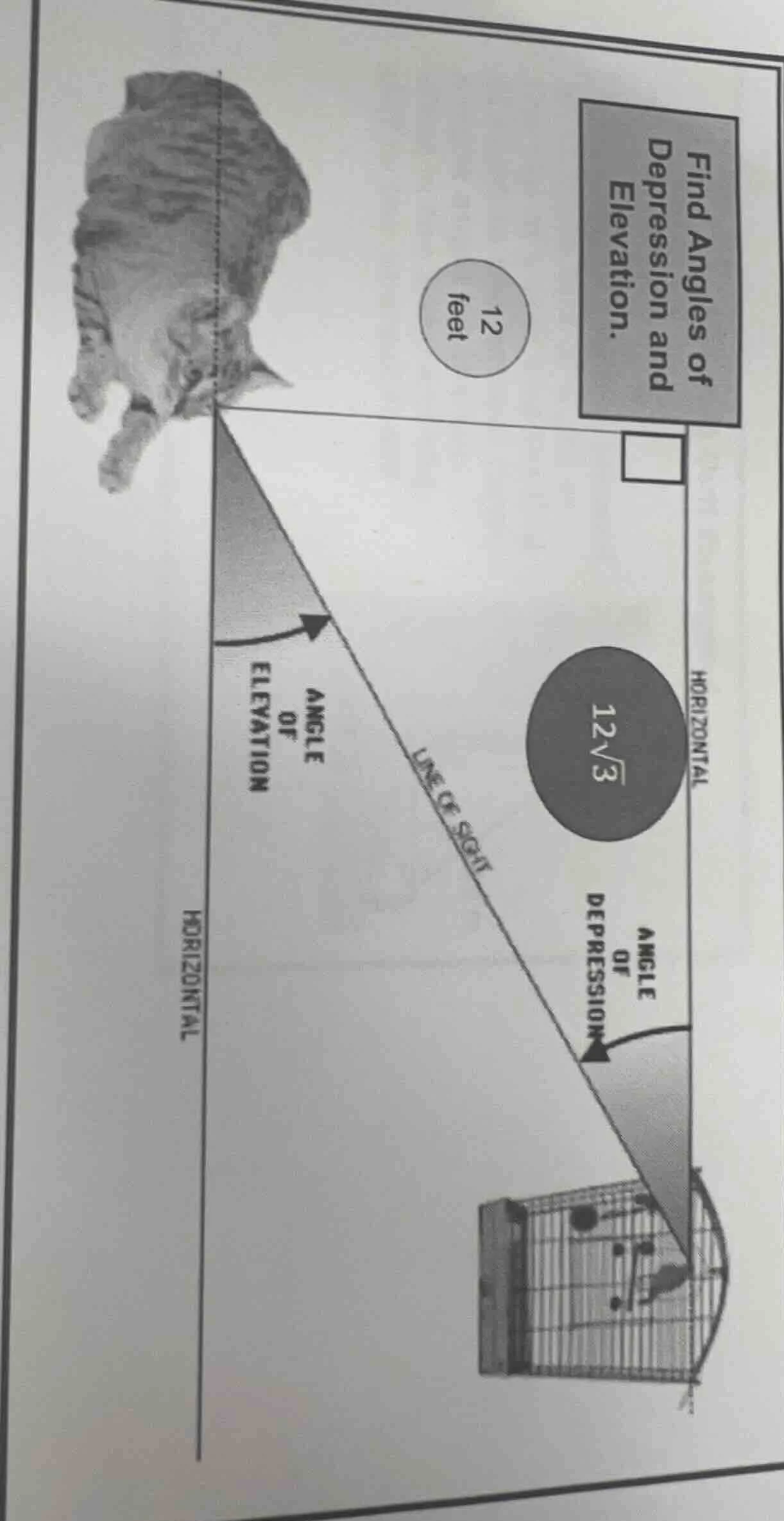 find angles of depression and elevation. 12 feet, 12√3, horizontal, ang…