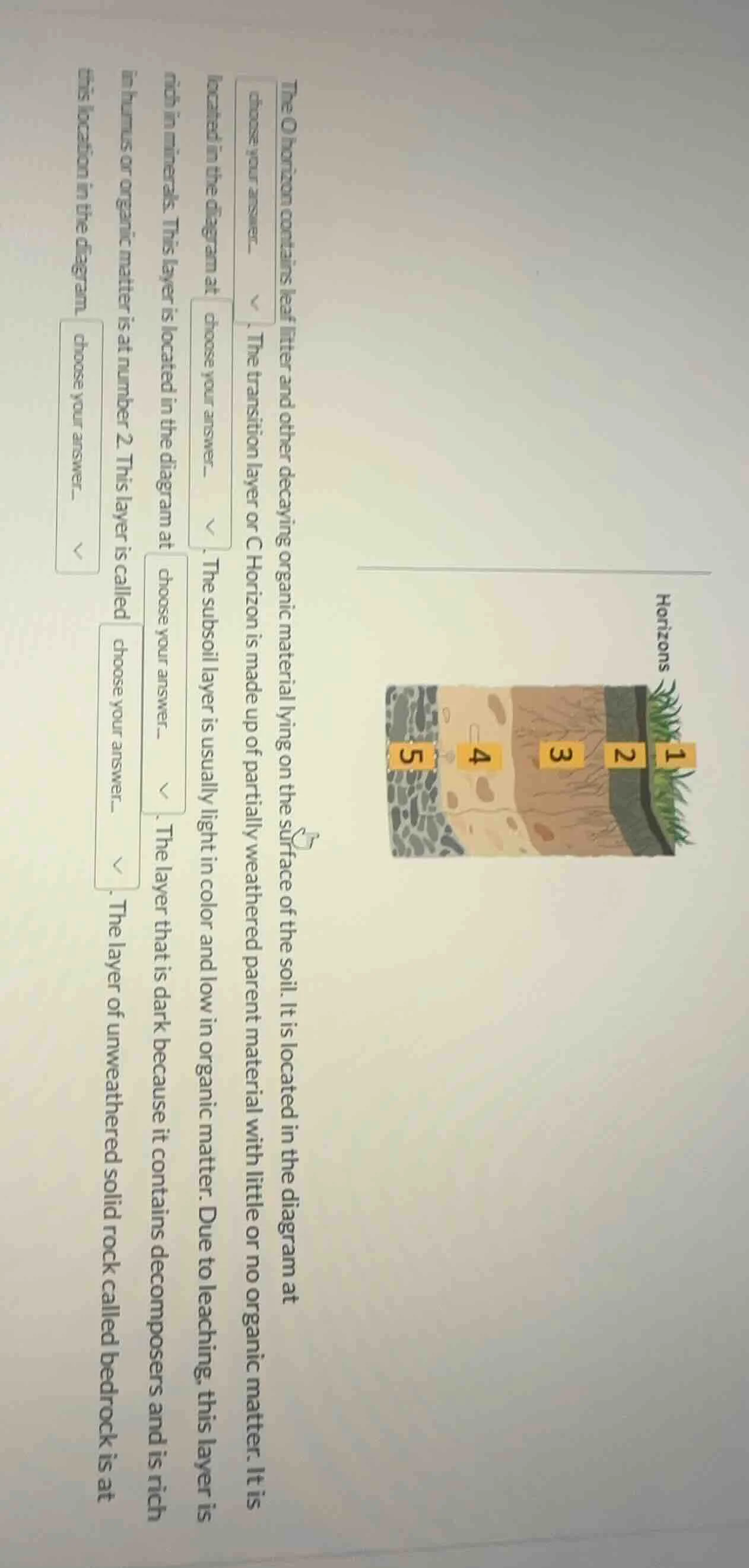 horizons the o horizon contains leaf litter and other decaying organic …