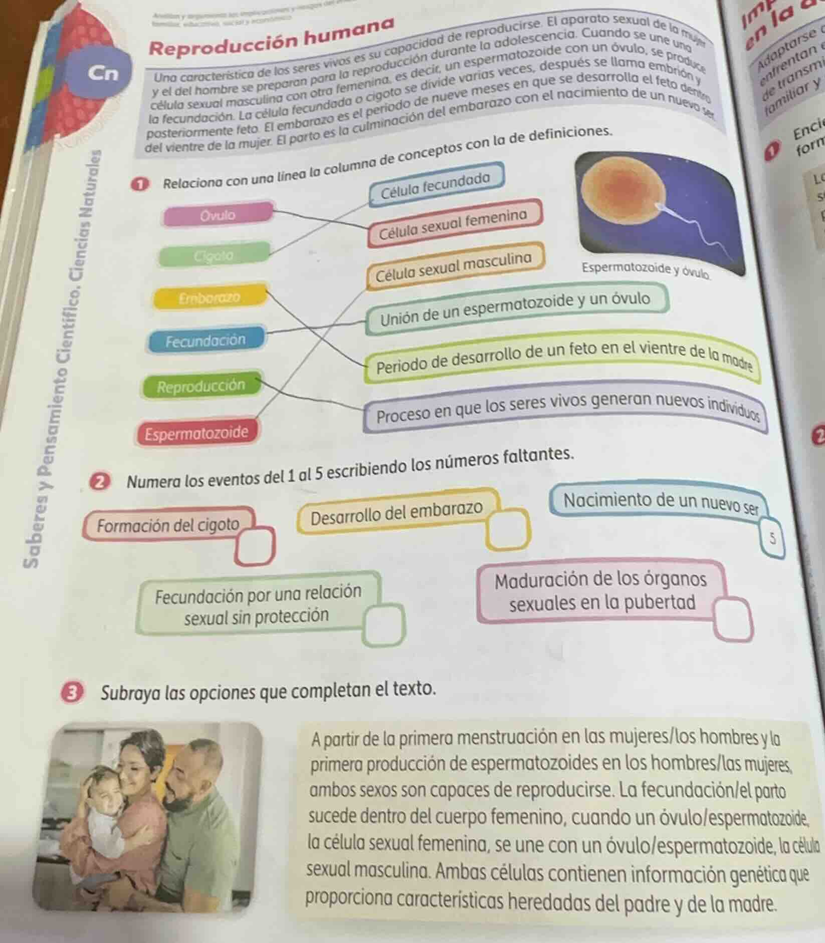 reproducción humana una característica de los seres vivos es su capacid…