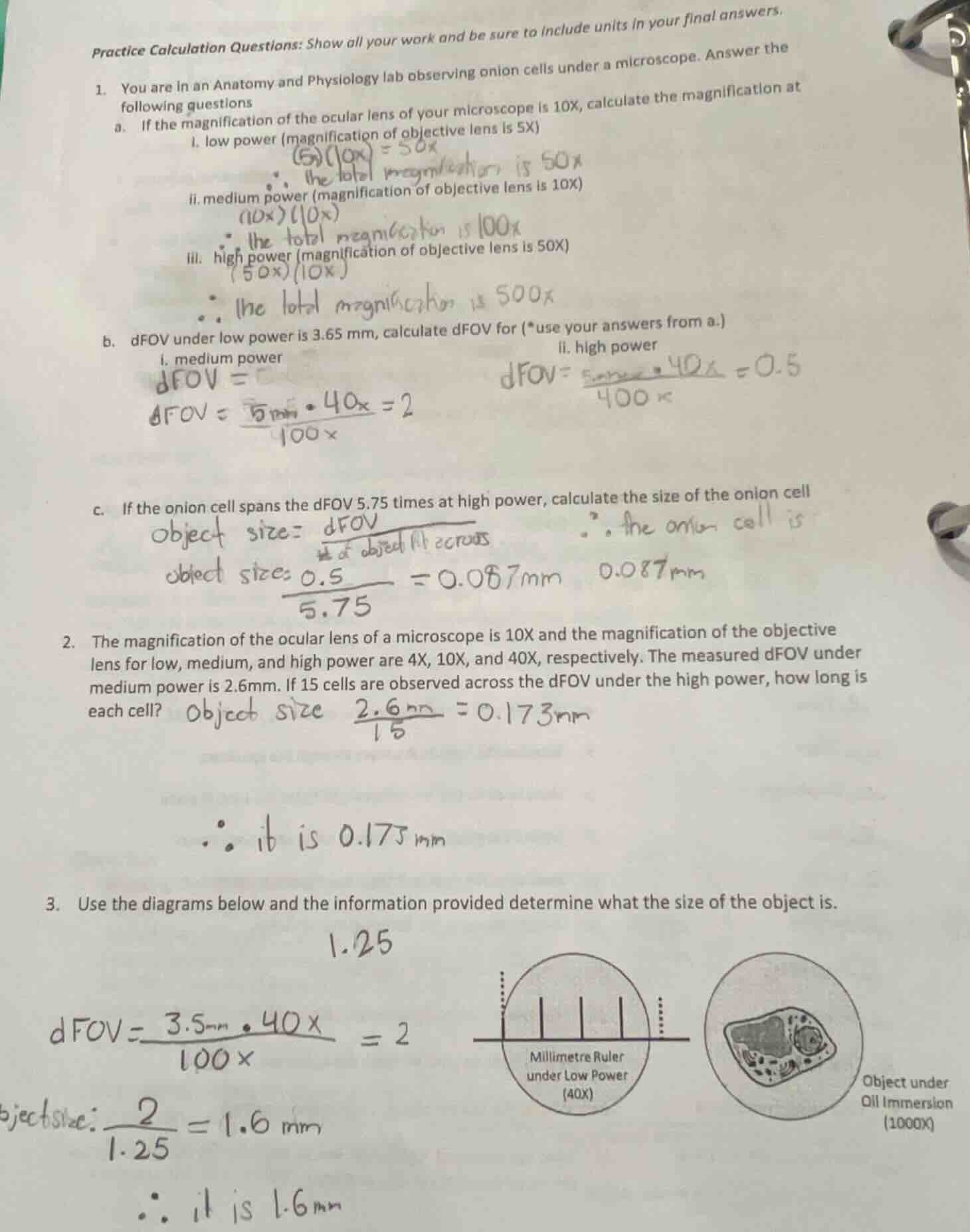 practice calculation questions: show all your work and be sure to inclu…