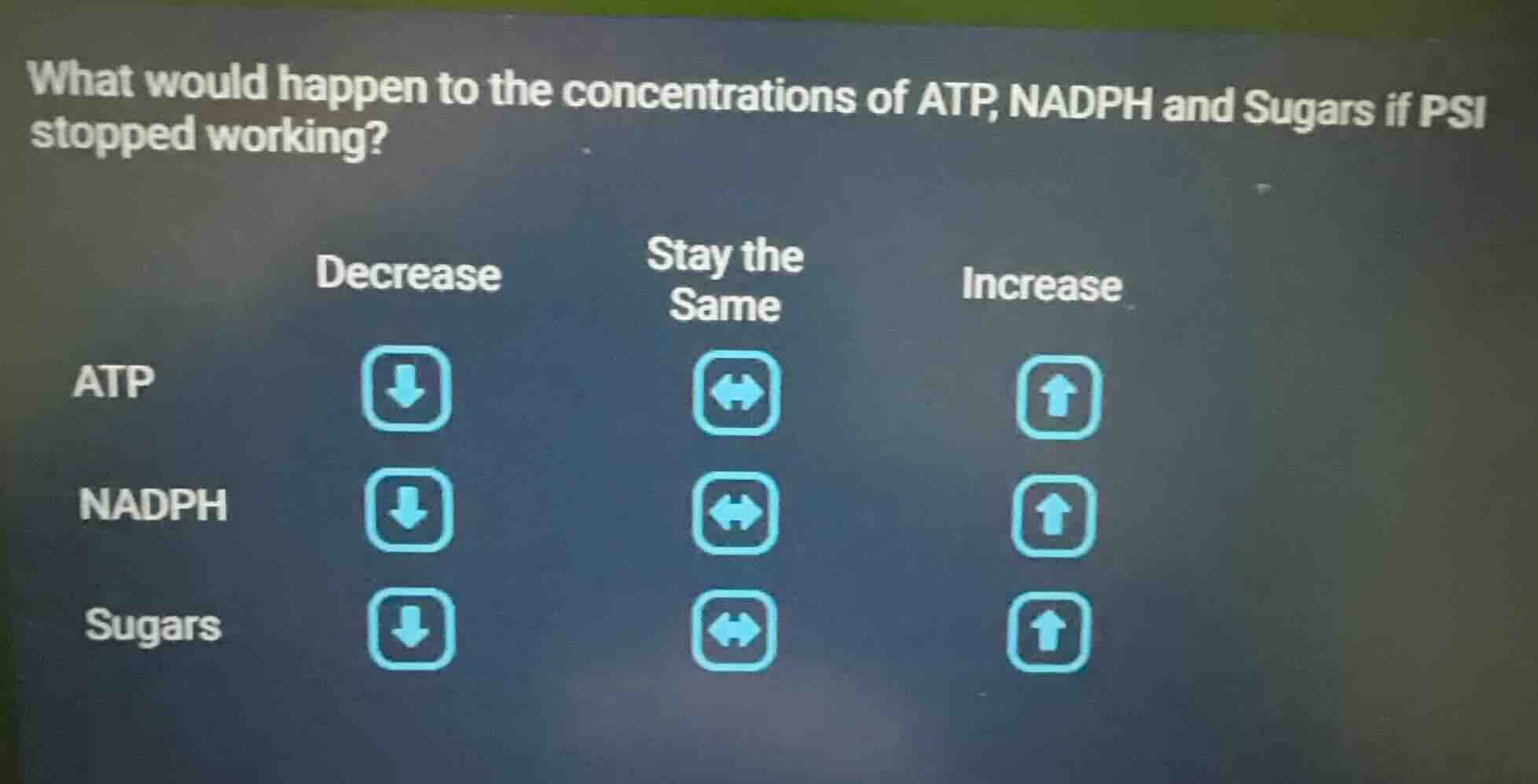 what would happen to the concentrations of atp, nadph and sugars if psi…