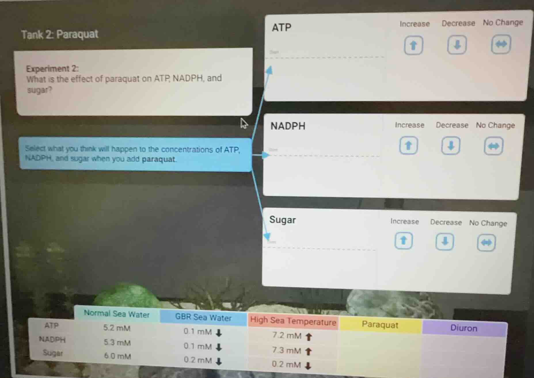 tank 2: paraquat experiment 2: what is the effect of paraquat on atp, n…