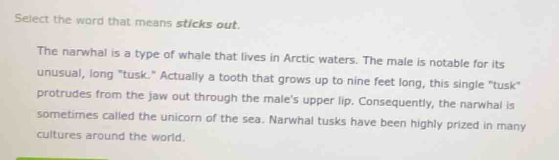 select the word that means sticks out. the narwhal is a type of whale t…