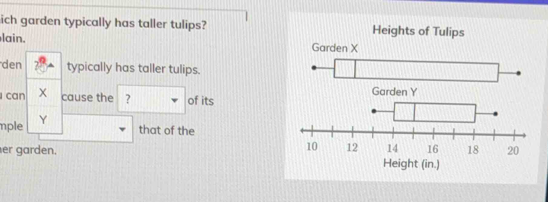 ich garden typically has taller tulips? lain. den typically has taller …