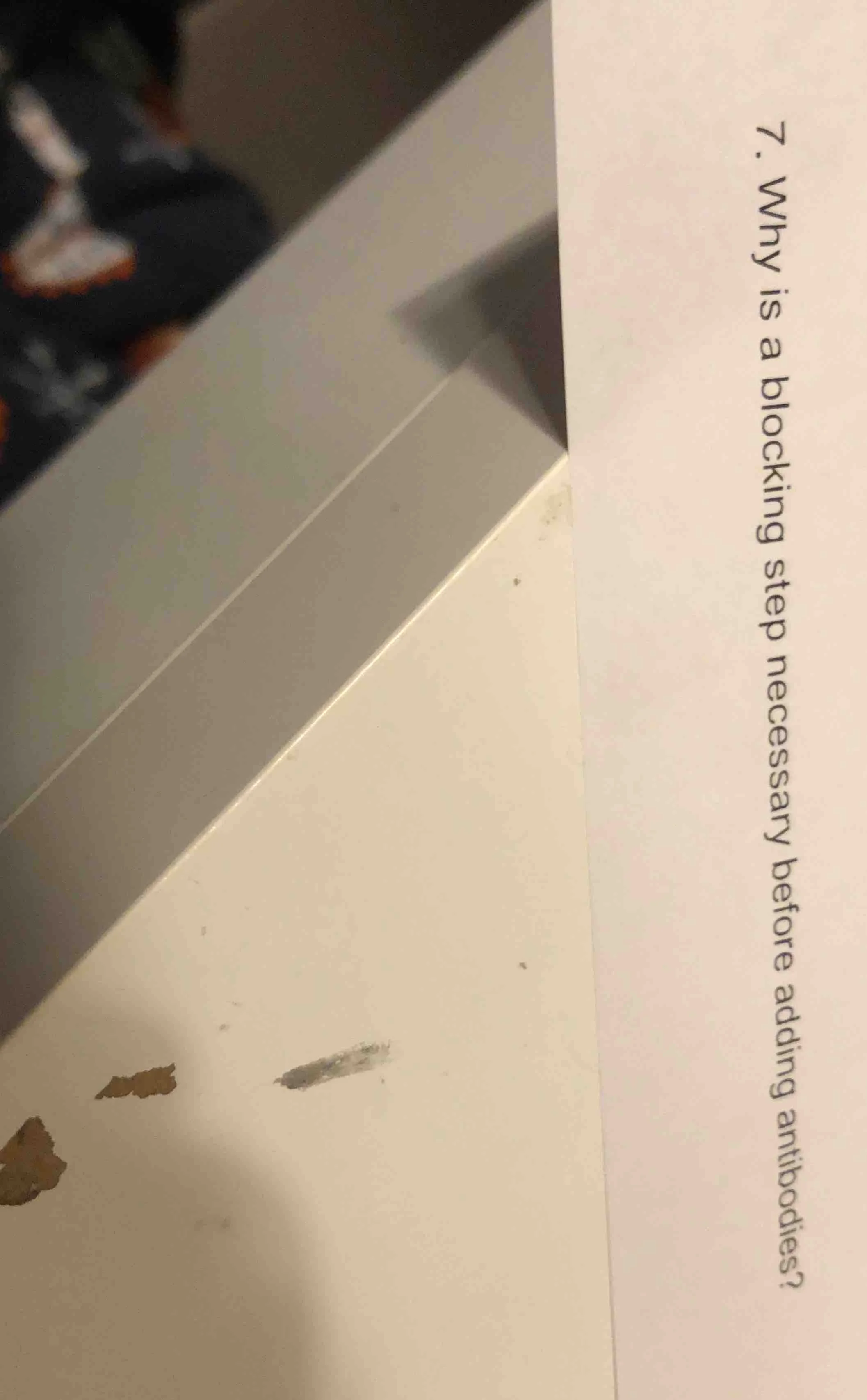 7. why is a blocking step necessary before adding antibodies?