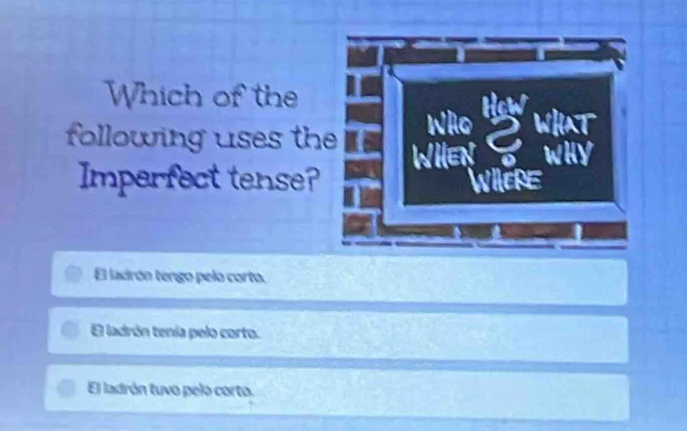 which of the following uses the imperfect tense? el ladrón tengo pelo c…