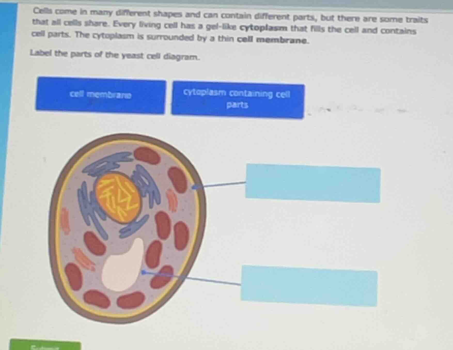 cells come in many different shapes and can contain different parts, bu…