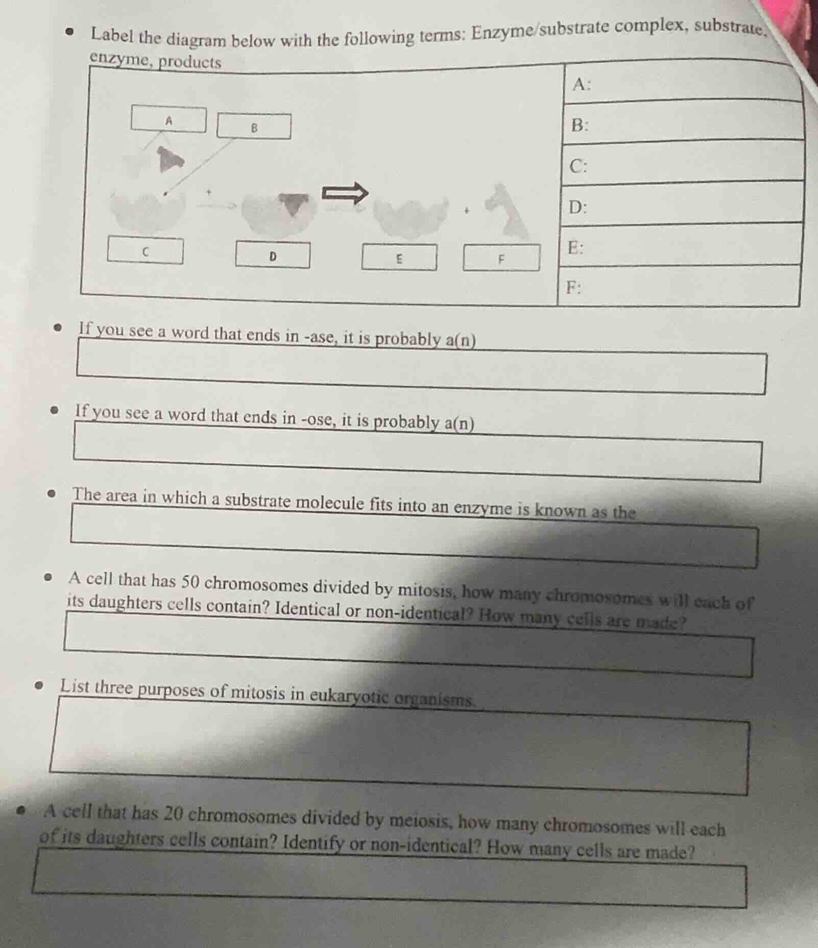 - label the diagram below with the following terms: enzyme/substrate co…