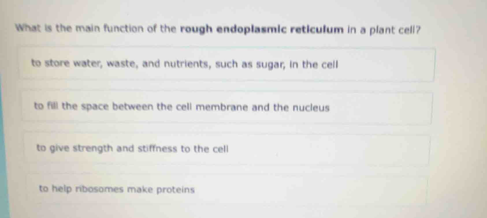 what is the main function of the rough endoplasmic reticulum in a plant…