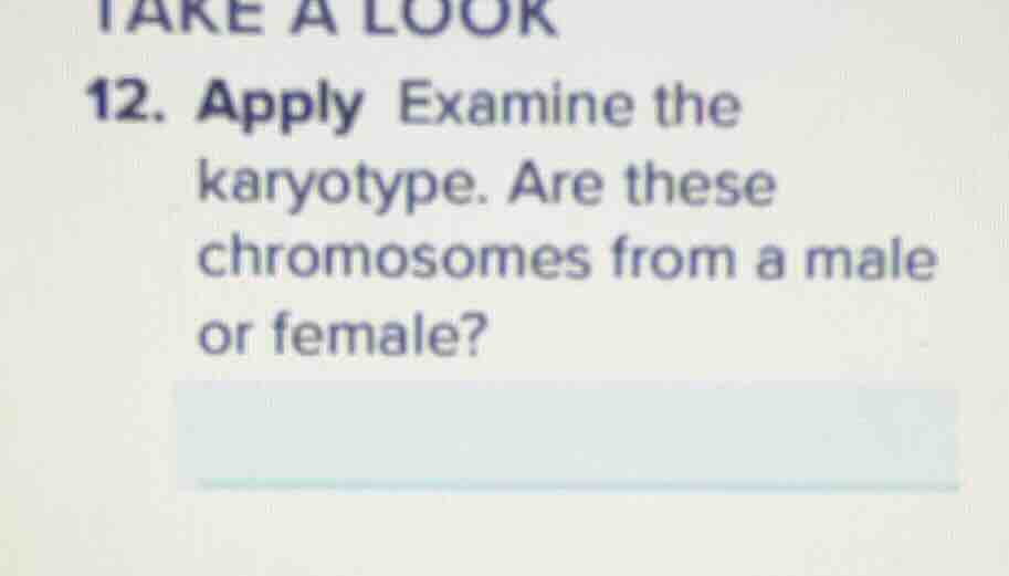 12. apply examine the karyotype. are these chromosomes from a male or f…