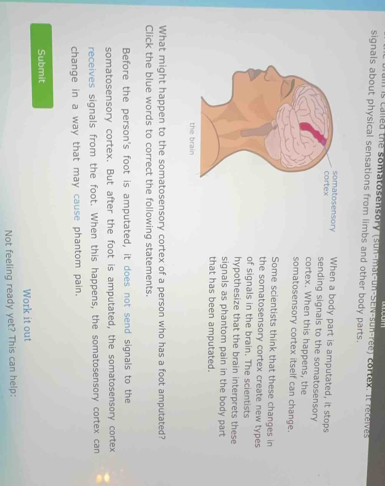 what might happen to the somatosensory cortex of a person who has a foo…