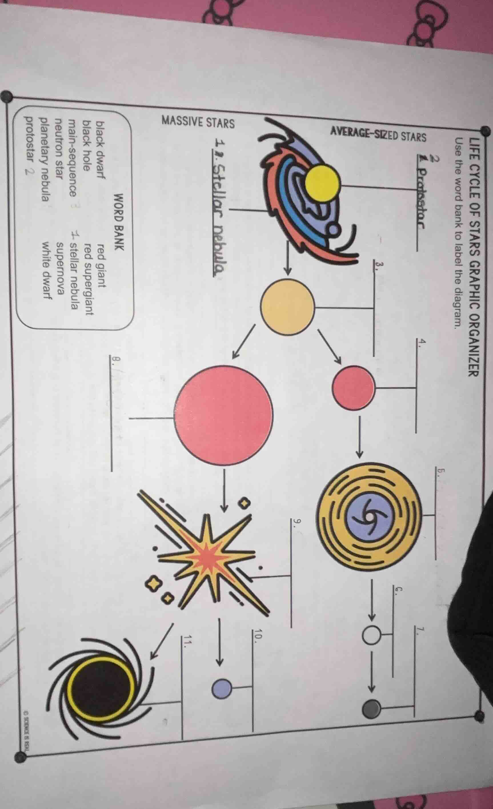 life cycle of stars graphic organizer use the word bank to label the di…